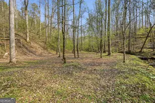 434 Lemmon Dr, Ellijay, GA 30540 - Photo 47