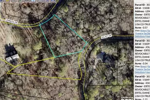 434 Lemmon Dr, Ellijay, GA 30540 - Photo 63