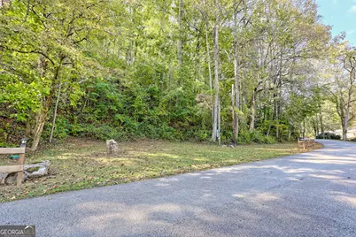 0 Woodall Road, Tiger, GA 30576 - Photo 3