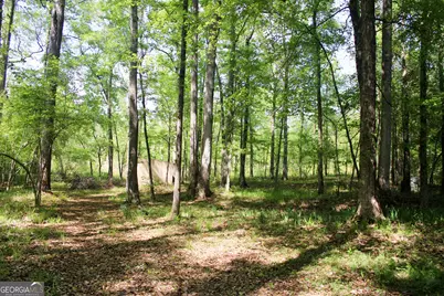 895 Waterview Drive, Lagrange, GA 30240 - Photo 79