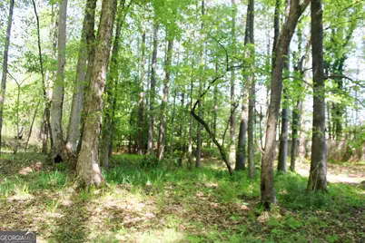 895 Waterview Drive, Lagrange, GA 30240 - Photo 73