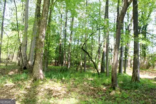 895 Waterview Dr, Lagrange, GA 30240 - Photo 73