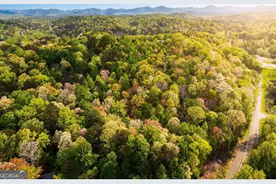 0 Auraria Road, Dahlonega, GA 30533 - Photo 15