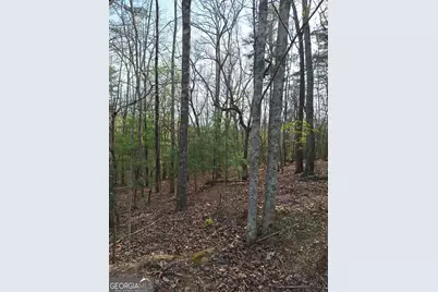 0 Mull Lane Circle, Morganton, GA 30560 - Photo 1