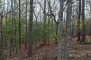 0 Mull Ln Cir, Morganton, GA 30560 - Photo 1