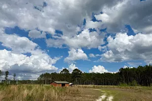 0 Graham Rd, Cadwell, GA 31009 - Photo 1