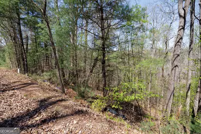 0 Laurel Trail #LOT 54, Suches, GA 30572 - Photo 3