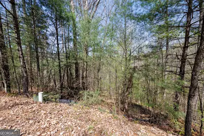 0 Laurel Trail #LOT 54, Suches, GA 30572 - Photo 5