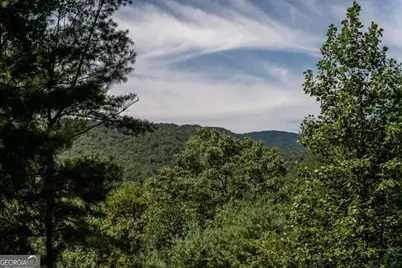 114 Boone Court, Ellijay, GA 30540 - Photo 43