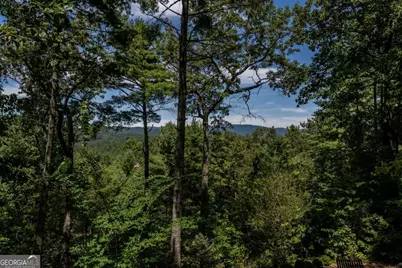 114 Boone Court, Ellijay, GA 30540 - Photo 53