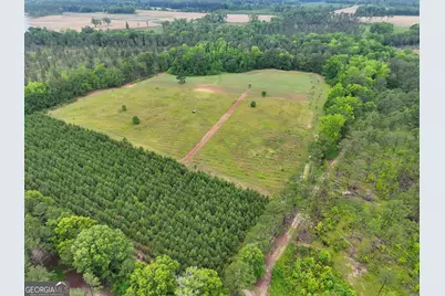 0 Mt Carmel, Senoia, GA 30276 - Photo 39