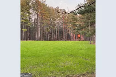 0 Mt Carmel, Senoia, GA 30276 - Photo 17