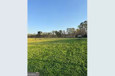 0 Mt Carmel, Senoia, GA 30276 - Photo 19