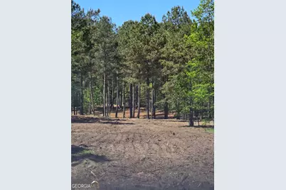 0 Mt Carmel, Senoia, GA 30276 - Photo 3