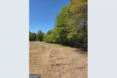0 Mt Carmel, Senoia, GA 30276 - Photo 7