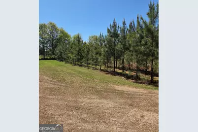 0 Mt Carmel, Senoia, GA 30276 - Photo 9