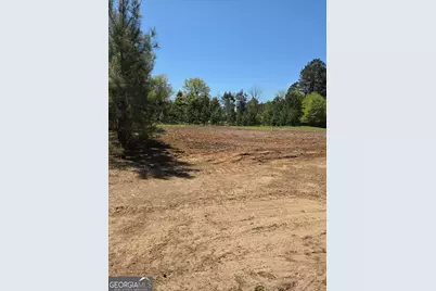 0 Mt Carmel, Senoia, GA 30276 - Photo 5
