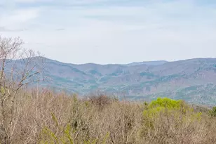 396 Apache Trail, Chatsworth, GA 30705 - Photo 11