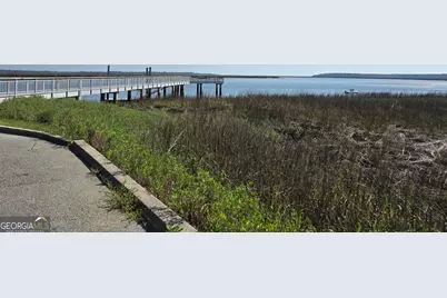 2099 Susie Baker Road NE, Townsend, GA 31331 - Photo 7