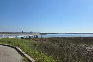 2099 Susie Baker Rd NE, Townsend, GA 31331 - Photo 7