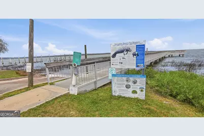 2099 Susie Baker Road NE, Townsend, GA 31331 - Photo 9