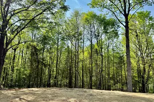 921 Silver Dollar Rd, Maysville, GA 30588 - Photo 23