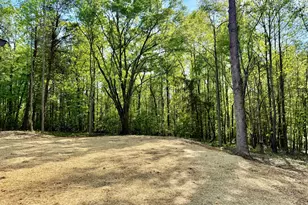 921 Silver Dollar Rd, Maysville, GA 30588 - Photo 21