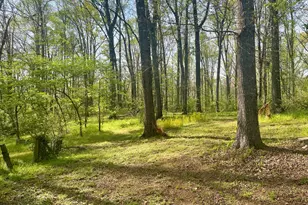 12005-A Hutcheson Ferry Rd, Chattahoochee Hills, GA 30268 - Photo 37