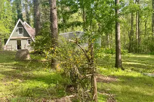 12005-A Hutcheson Ferry Rd, Chattahoochee Hills, GA 30268 - Photo 35