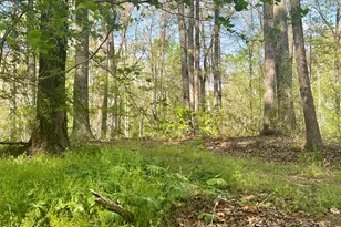 12005-A Hutcheson Ferry Rd, Chattahoochee Hills, GA 30268 - Photo 41