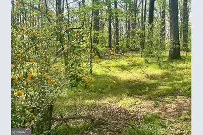 12005-A Hutcheson Ferry Road, Chattahoochee Hills, GA 30268 - Photo 47