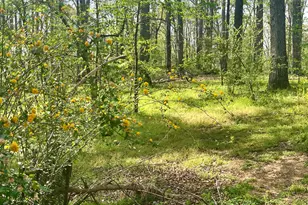 12005-A Hutcheson Ferry Rd, Chattahoochee Hills, GA 30268 - Photo 47