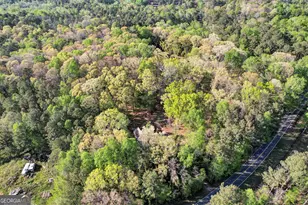 12005-A Hutcheson Ferry Rd, Chattahoochee Hills, GA 30268 - Photo 51