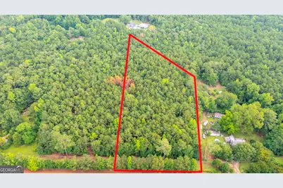 0 Durand Highway, Warm Springs, GA 31830 - Photo 3