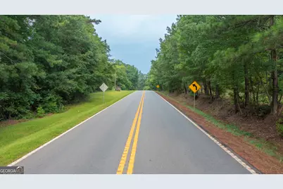 0 Durand Highway, Warm Springs, GA 31830 - Photo 9