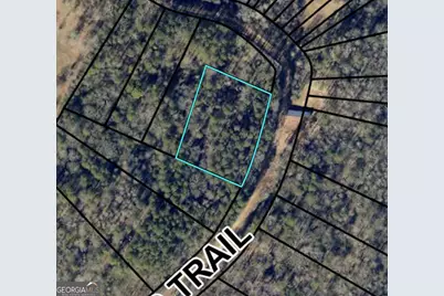 0 Morris Trail Lot 1, Carnesville, GA 30521 - Photo 1