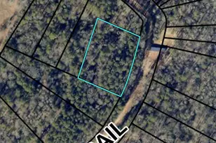 0 Morris Trail Lot 1, Carnesville, GA 30521 - Photo 1