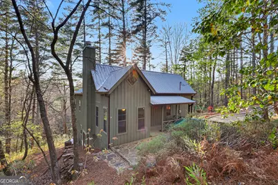 604 Tame Turkey Road, Lakemont, GA 30552 - Photo 47