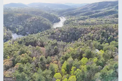 604 Tame Turkey Road, Lakemont, GA 30552 - Photo 57