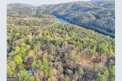 604 Tame Turkey Road, Lakemont, GA 30552 - Photo 3