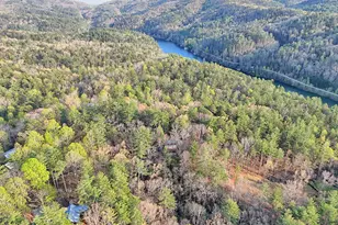 604 Tame Turkey Rd, Lakemont, GA 30552 - Photo 3