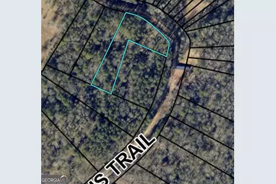 0 Morris Trail Lot 2, Carnesville, GA 30521 - Photo 1