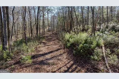 0 Highway 356, Helen, GA 30545 - Photo 11