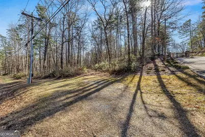 0 Highway 356, Helen, GA 30545 - Photo 9