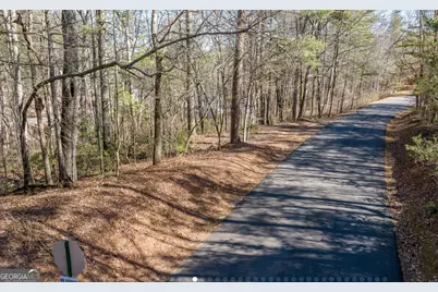 0 Highway 356, Helen, GA 30545 - Photo 5