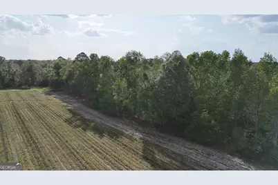 Tract 1 Spring Branch Road, Baxley, GA 31513 - Photo 15