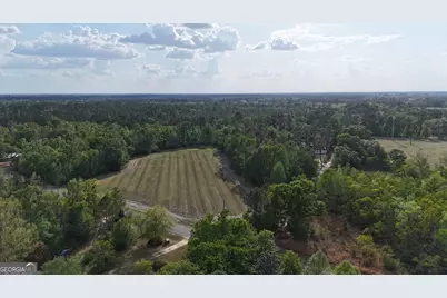 Tract 1 Spring Branch Road, Baxley, GA 31513 - Photo 3