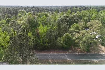 Tract 1 Spring Branch Road, Baxley, GA 31513 - Photo 17