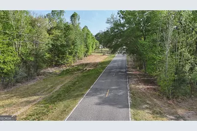 Tract 3 Spring Branch Road, Baxley, GA 31513 - Photo 13