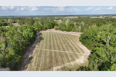 Tract 4 Spring Branch Road, Baxley, GA 31513 - Photo 11